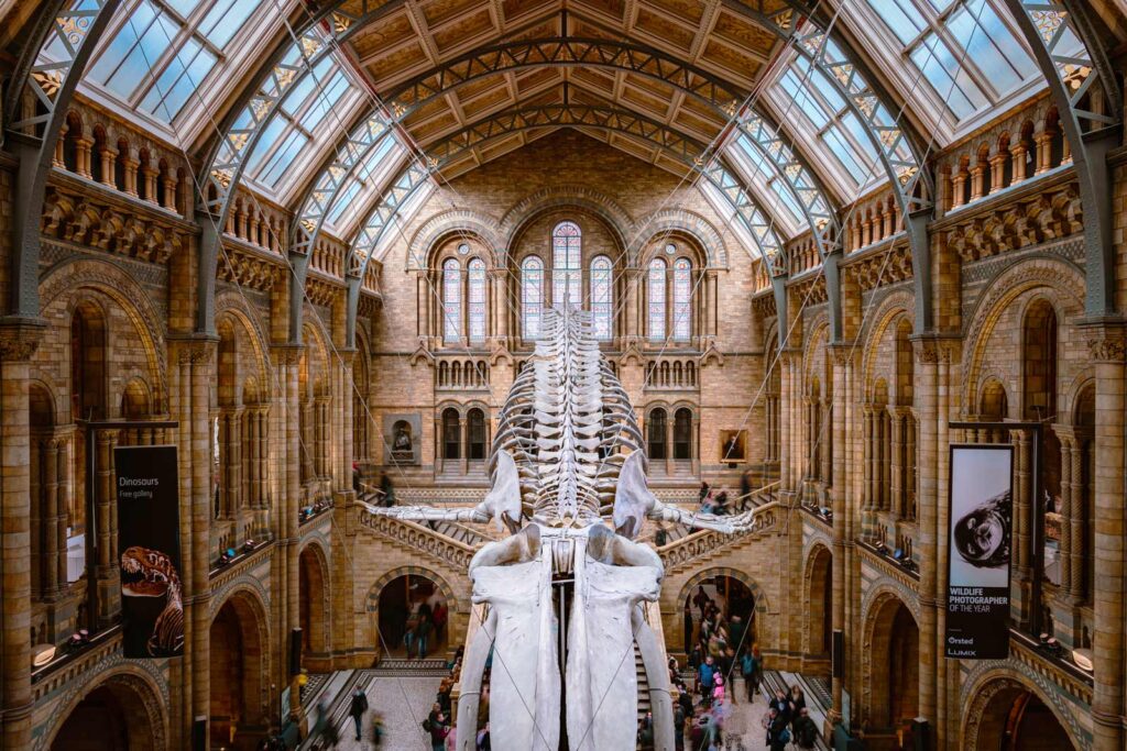 15 Best Museums in London You Have to See in 2023