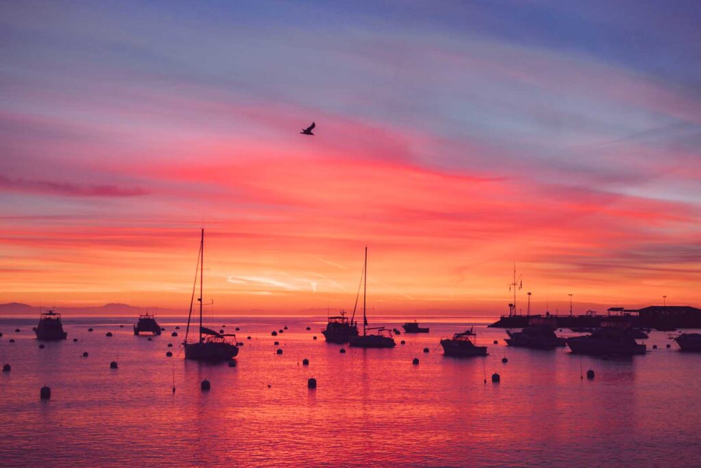 Catalina Island, California - I chickened out; But somehow got rewarded